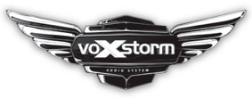 Vox Storm